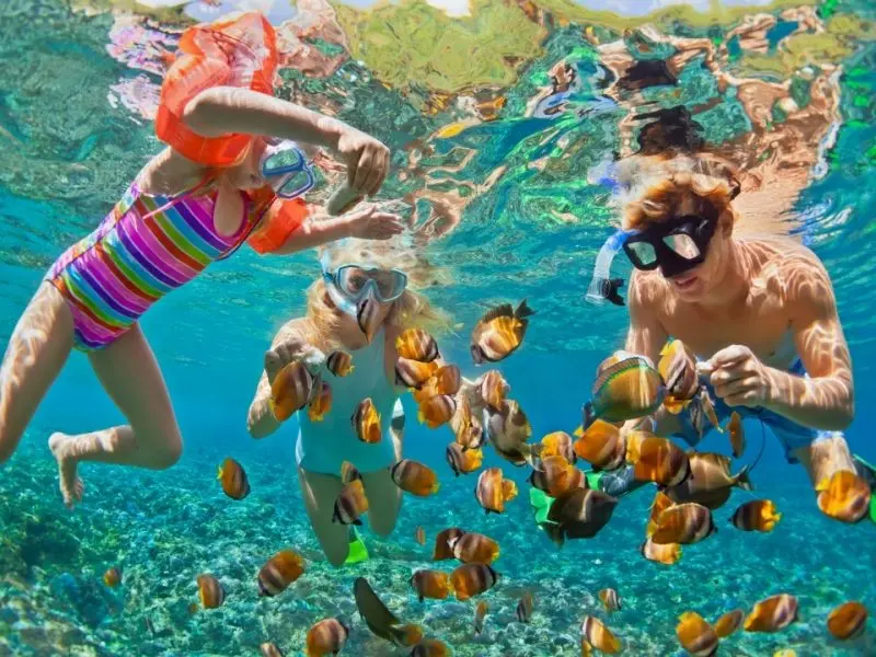 Destinations-Snorkelling-800x600